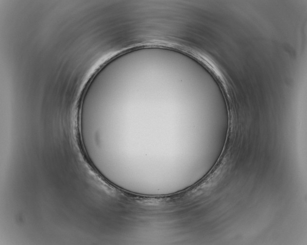 X0000113271048200909101307