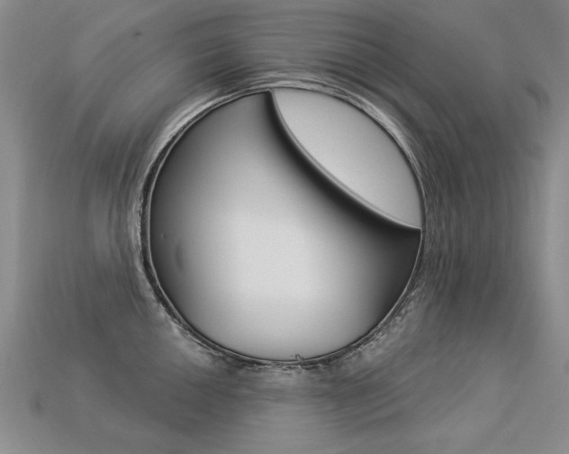 X0000113271050200909101307