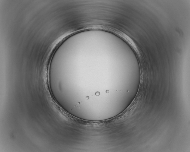 X0000113271051200909101307