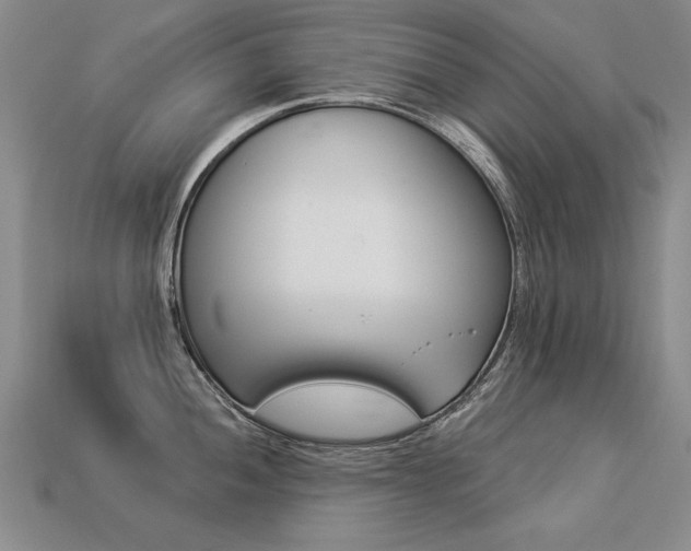 X0000113271052200909101307