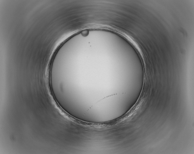 X0000113271053200909101307