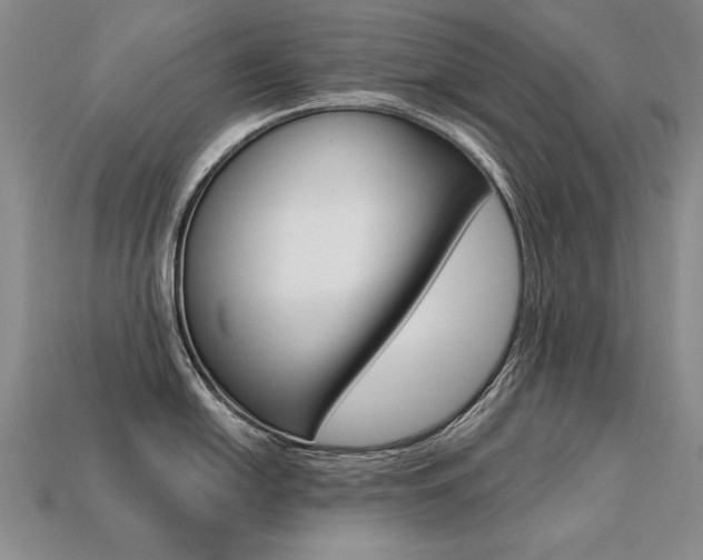 X0000113271054200909101307