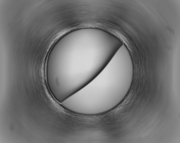 X0000113271055200909101307