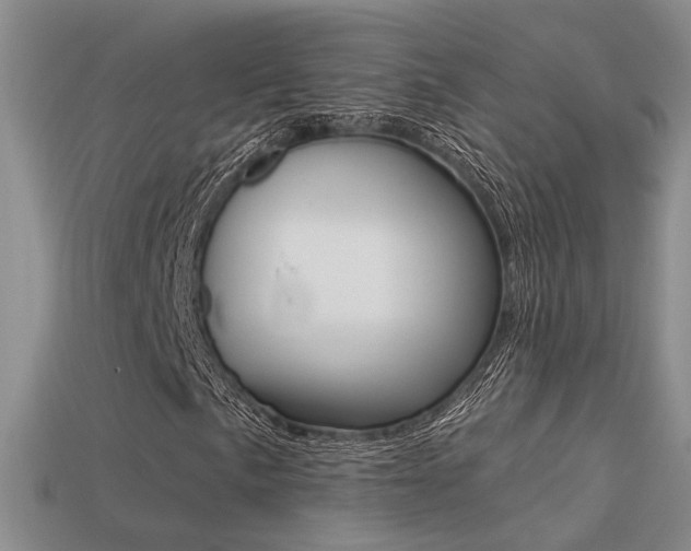 X0000113271057200909101306