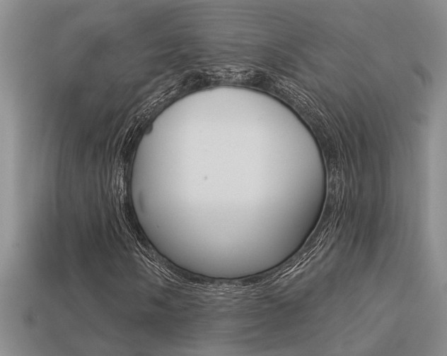 X0000113271058200909101306