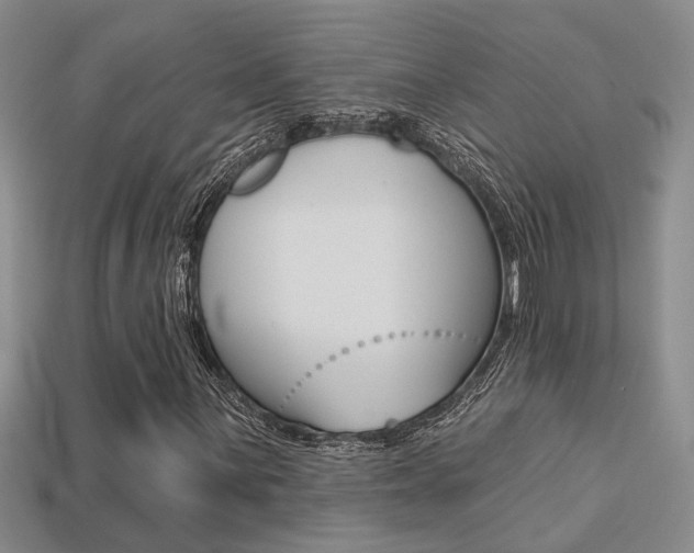 X0000113271059200909101306