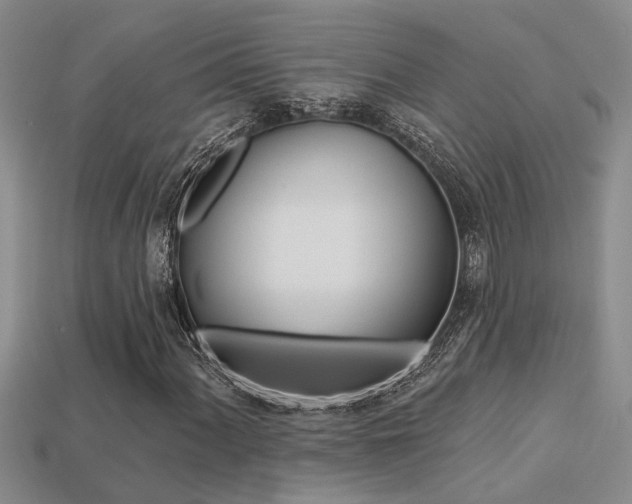 X0000113271060200909101306