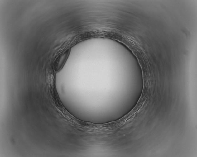 X0000113271061200909101306