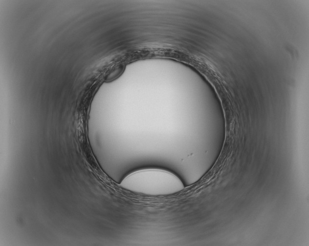 X0000113271062200909101306