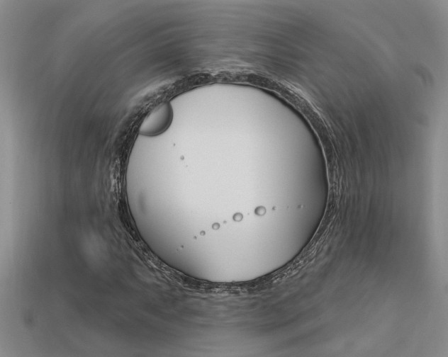 X0000113271063200909101306