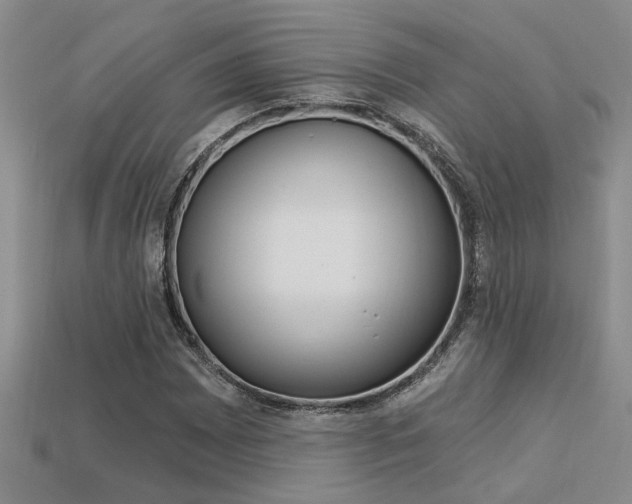 X0000113271065200909101306