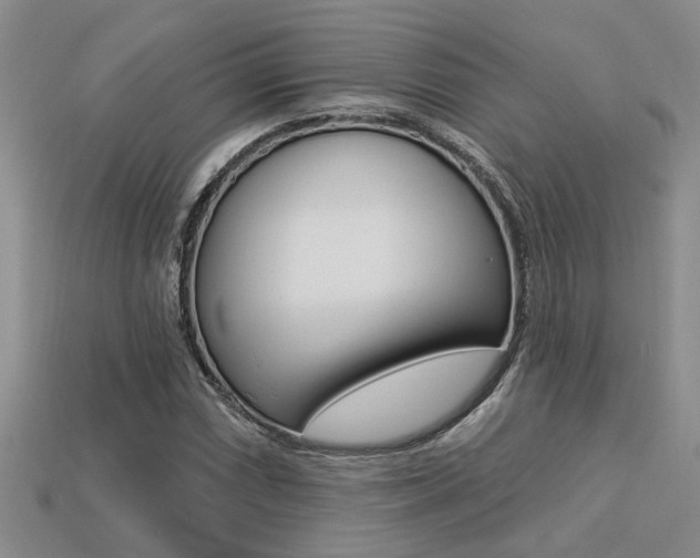 X0000113271066200909101306