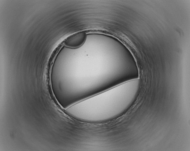 X0000113271068200909101306