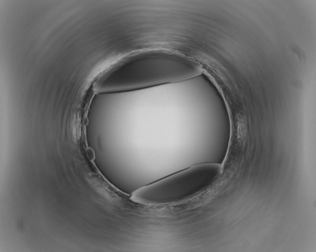 X0000113271069200909101306