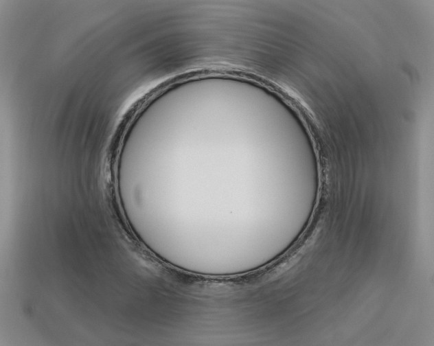X0000113271070200909101306