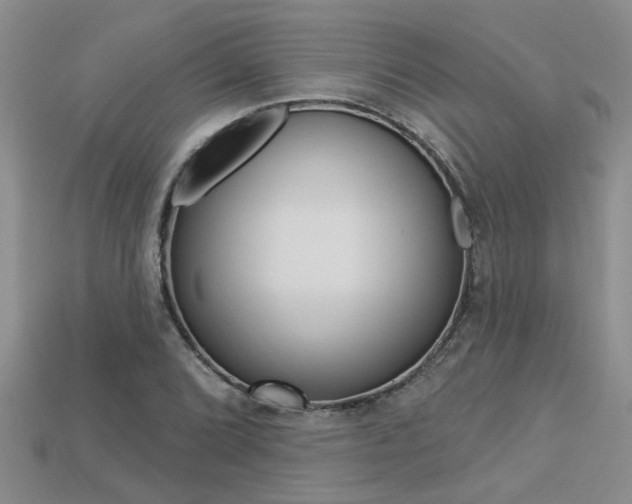 X0000113271072200909101306