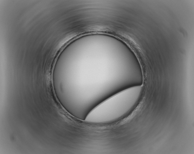 X0000113271073200909101306