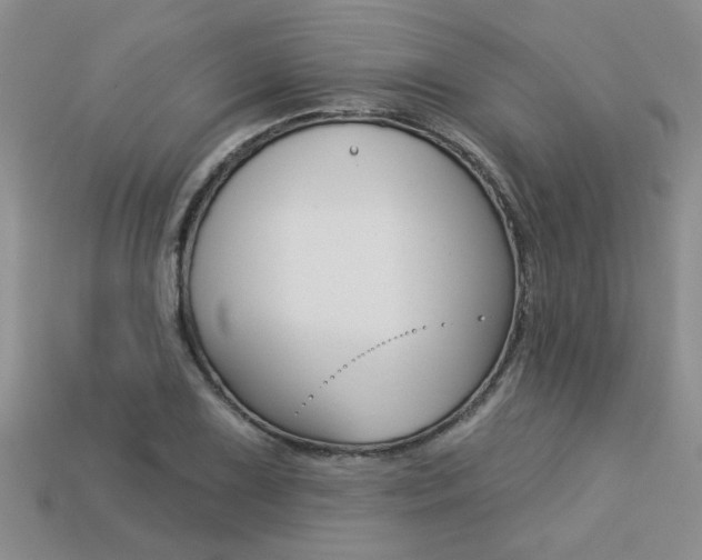 X0000113271075200909101306