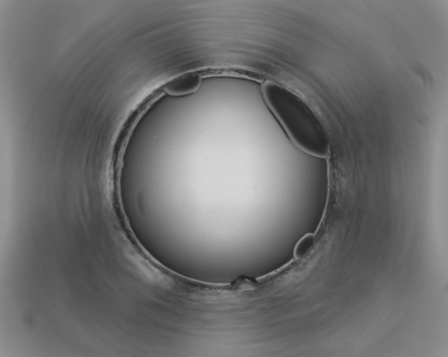 X0000113271076200909101306