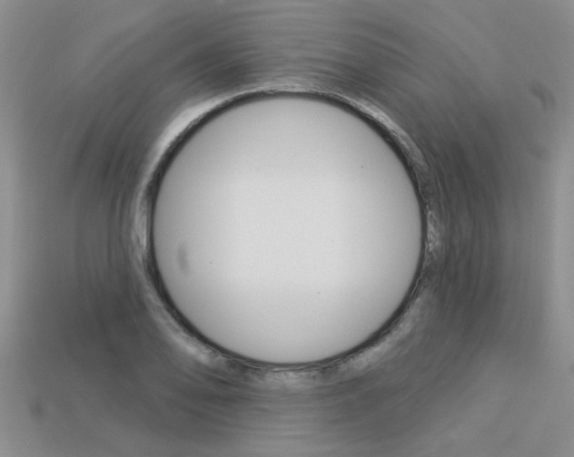 X0000113271078200909101306