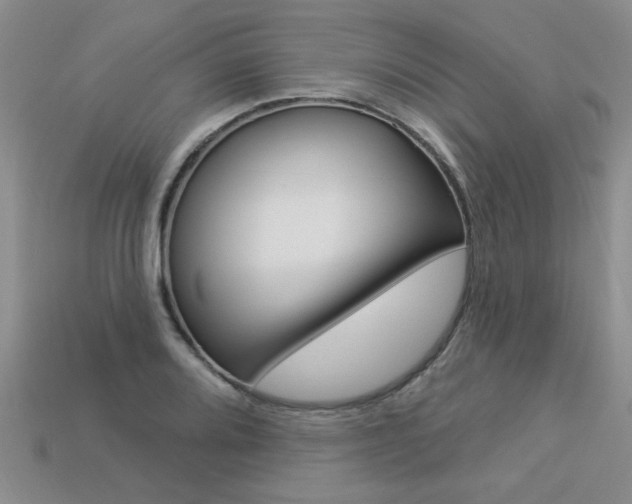X0000113271080200909101306