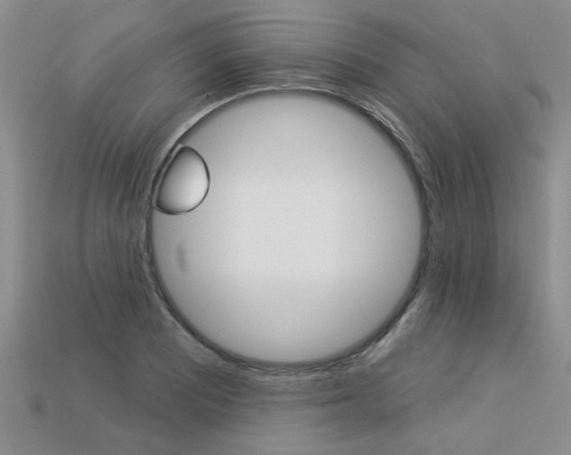 X0000113271081200909101306