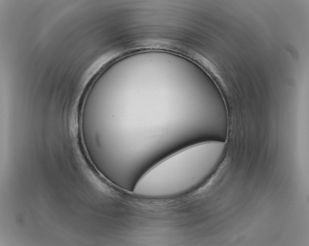 X0000113271082200909101306