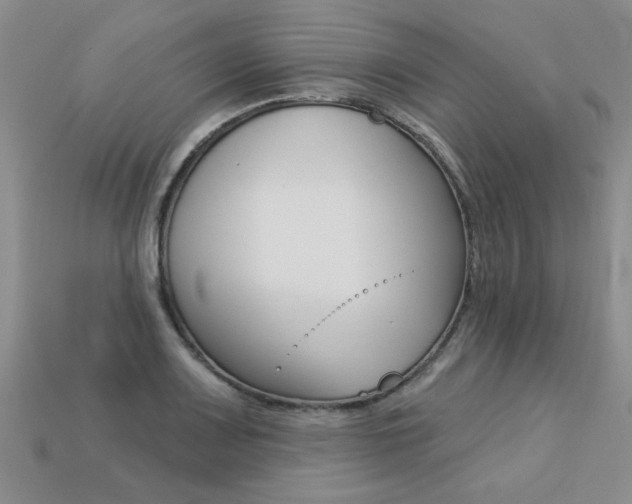 X0000113271083200909101306