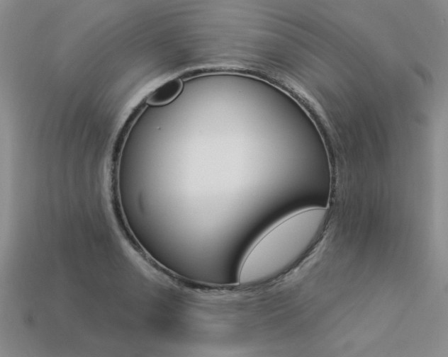 X0000113271085200909101306