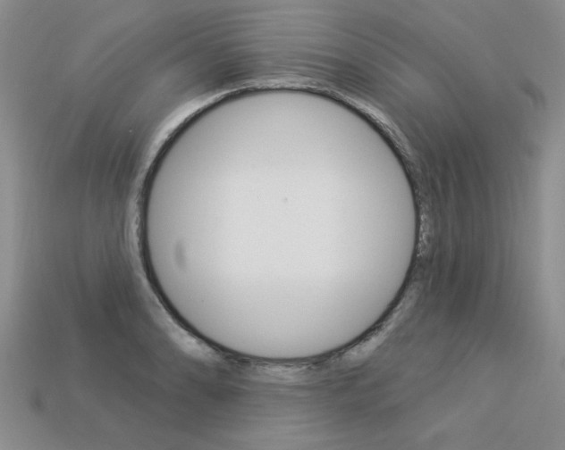 X0000113271086200909101306