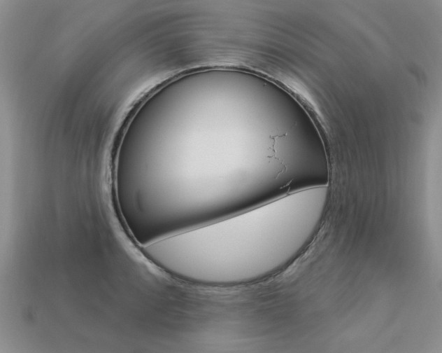 X0000113271088200909101306