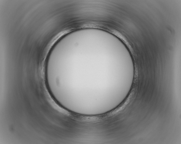 X0000113271090200909101306