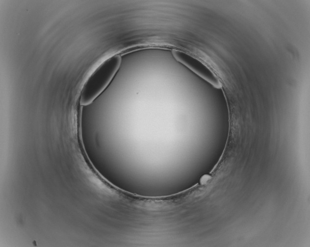X0000113271092200909101306