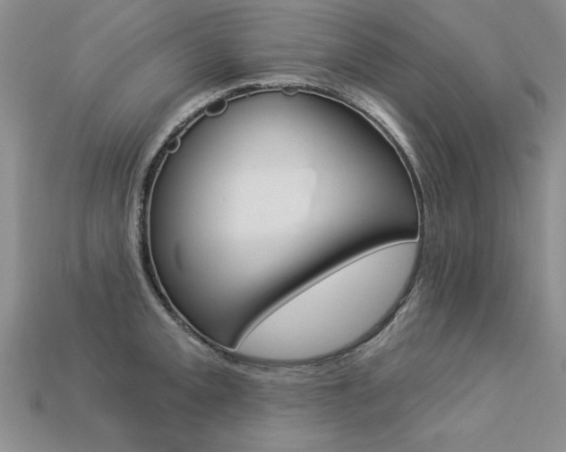 X0000113271093200909101306