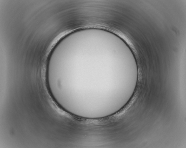 X0000113271094200909101306