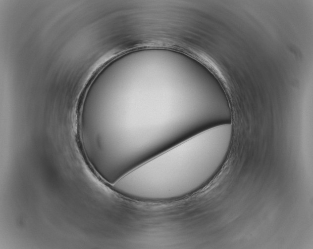 X0000113271095200909101306