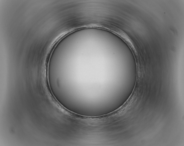 X0000113271096200909101306