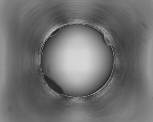 X0000113271097200909101306