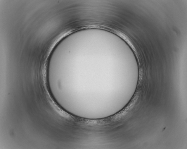 X0000113271098200909101306