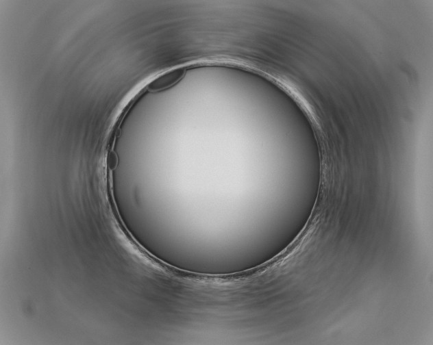 X0000113271100200909101306