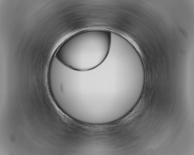 X0000113271101200909101305