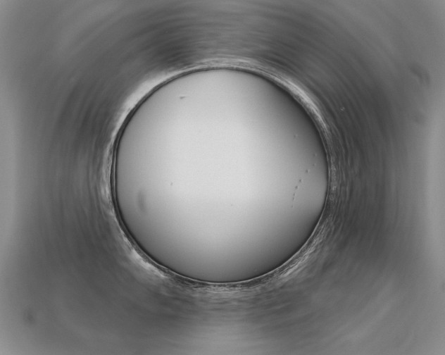 X0000113271102200909101305