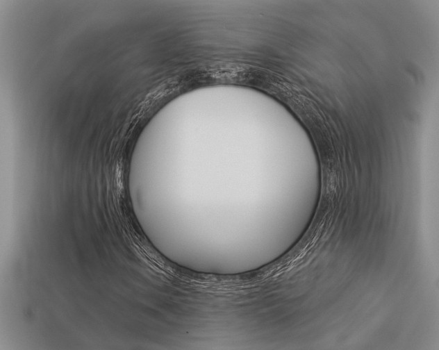 X0000113271106200909101305