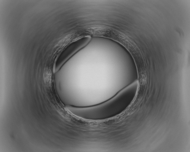 X0000113271108200909101305