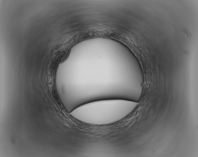 X0000113271109200909101305