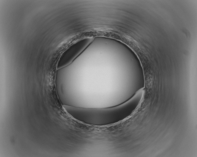 X0000113271110200909101305