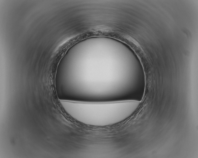 X0000113271112200909101305