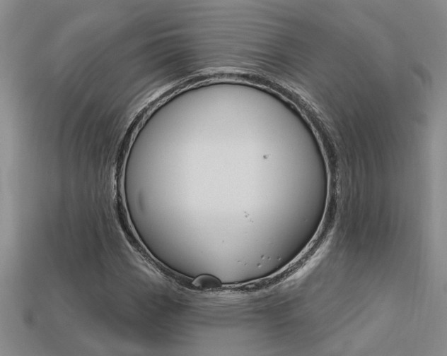 X0000113271113200909101305
