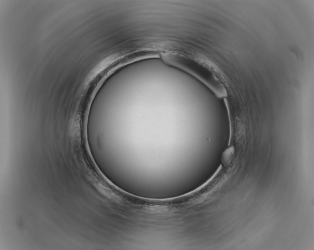 X0000113271114200909101305