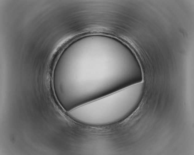 X0000113271115200909101305